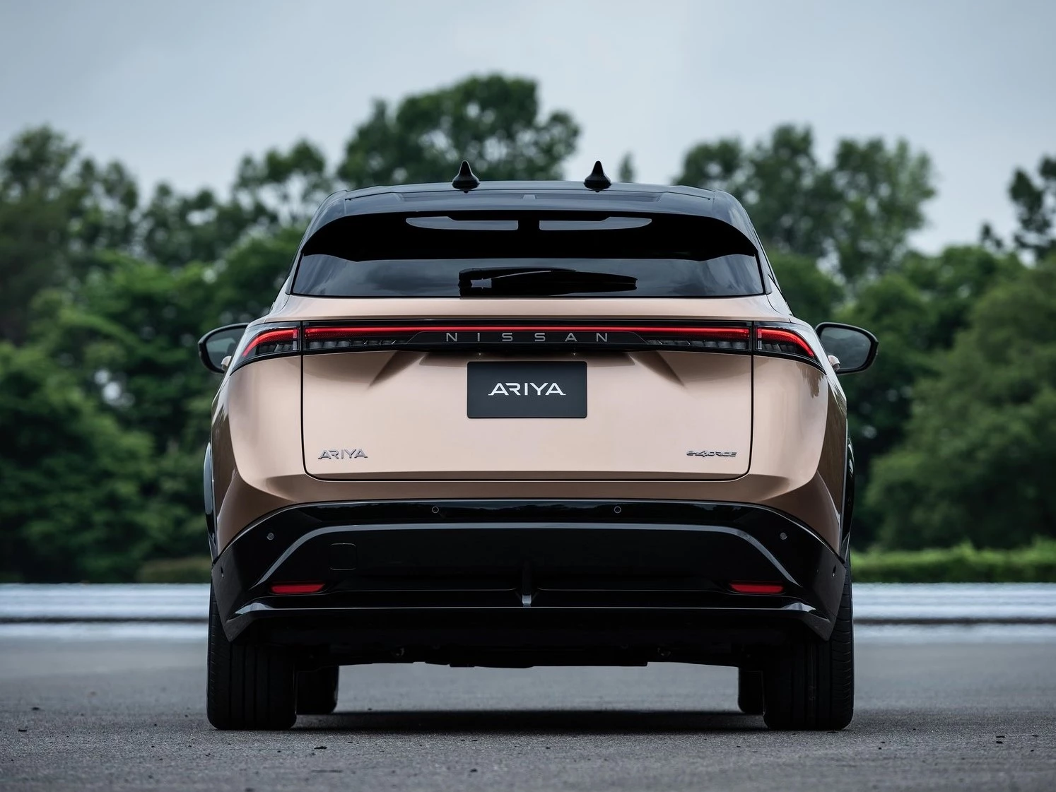 Nissan Ariya 2021 1600 0F